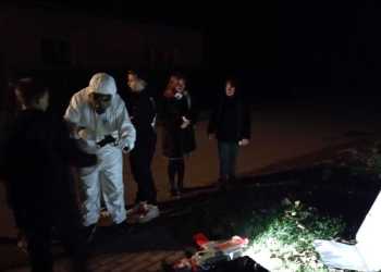 IMG-20241107-WA0018