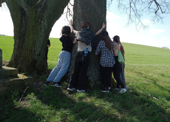 IMG_20250416_140655912_MFNR